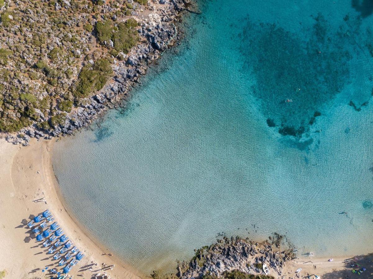 Magnifique Villa Avec Piscine Au Bord De Mer Chorafakia Exteriér fotografie